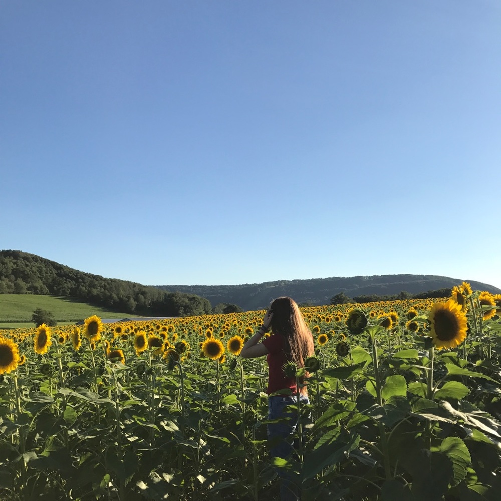 Meet your Posher, Gigi